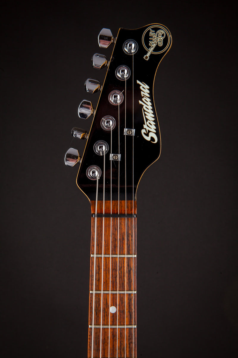 Valley arts store stratocaster