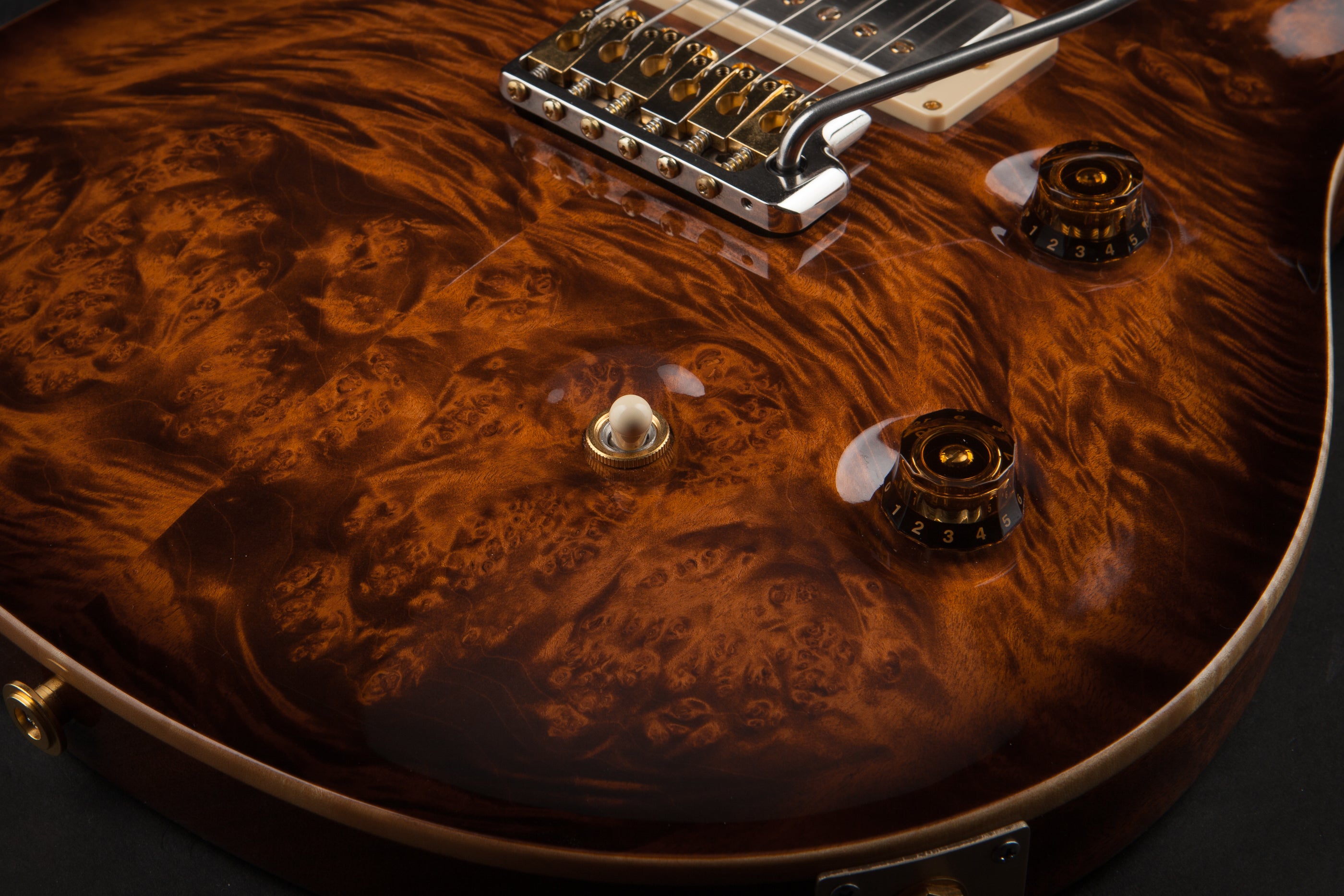 PRS Private Stock: Custom 24 Burl with Solid Rosewood Neck - Copperhead Smoked Burst #2688