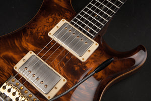 PRS Private Stock: Custom 24 Burl with Solid Rosewood Neck - Copperhead Smoked Burst #2688