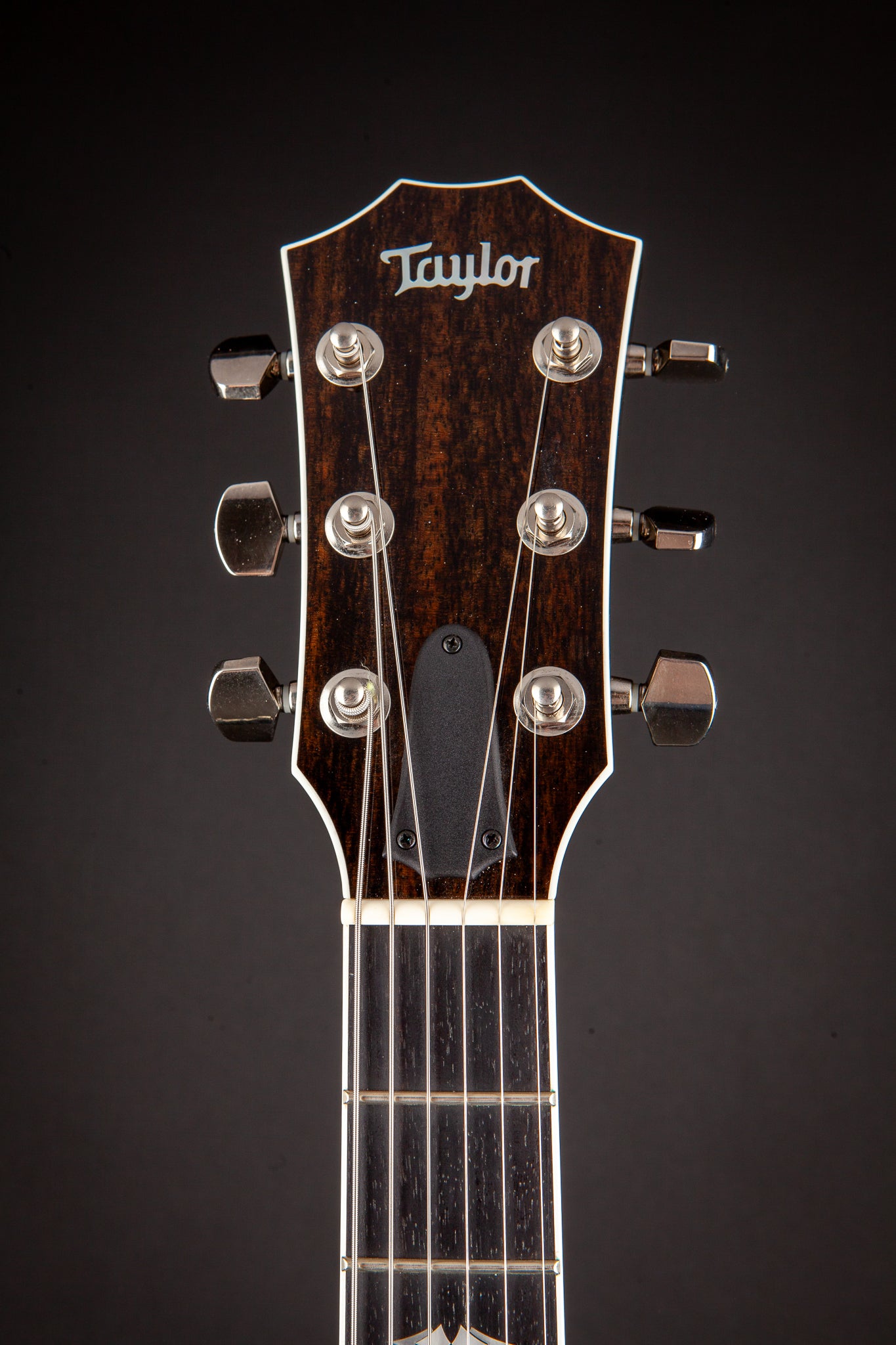 Taylor: T5z Pro w/ Curly Maple Top - Faded Denim #1105196138