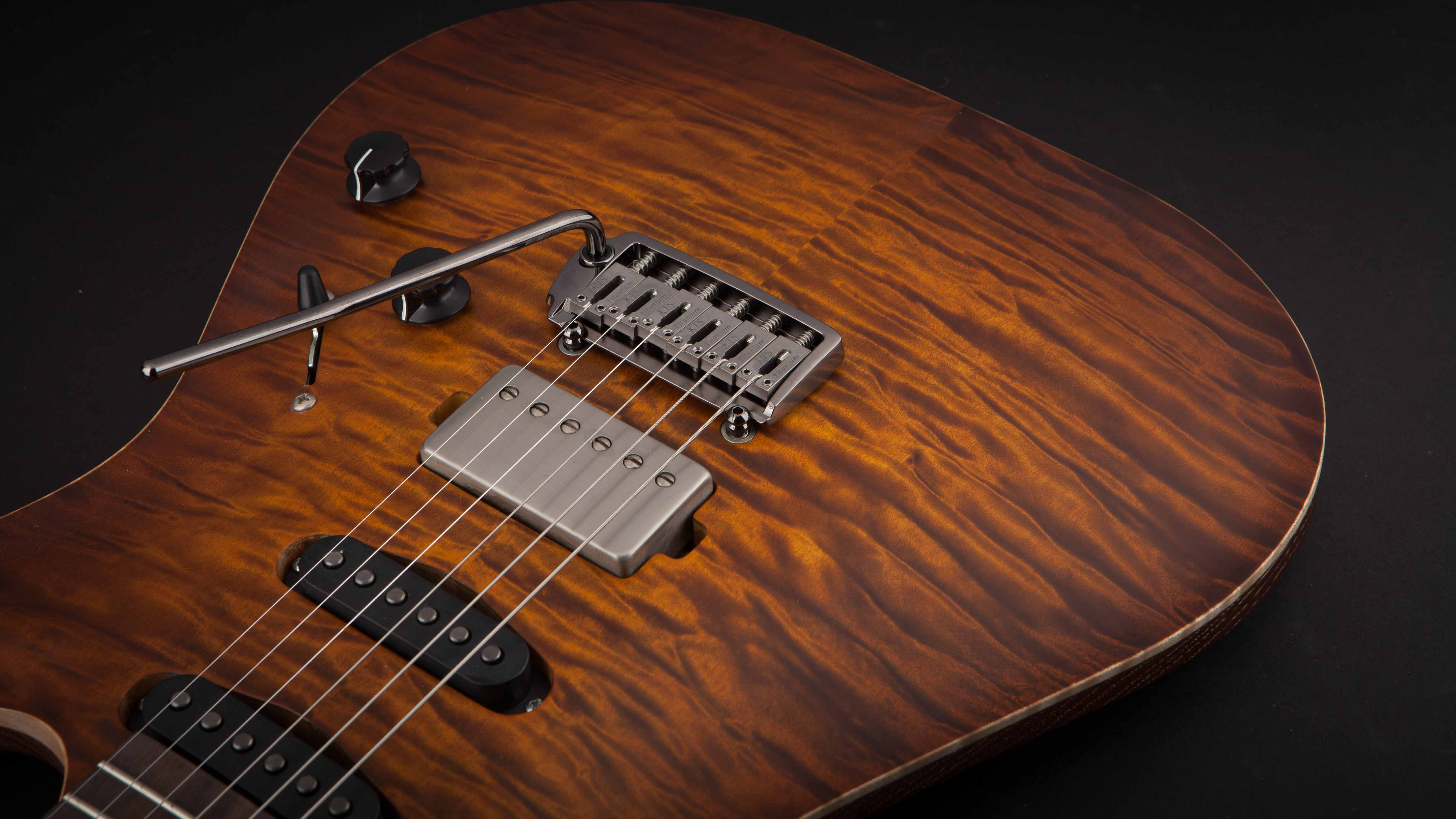 Patrick James Eggle 96 Carved Maple Top with Rosewood Neck #11374