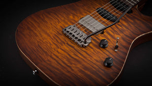 Patrick James Eggle 96 Carved Maple Top with Rosewood Neck #11374